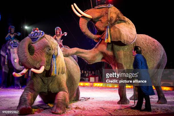Elephants being presented to the audience during the premiere of the Krone Circus at the Cannstatter Wasen festival grounds in Stuttgart, Germany, 26...