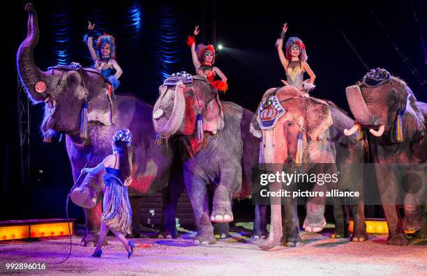 Elephants being presented to the audience during the premiere of the Krone Circus at the Cannstatter Wasen festival grounds in Stuttgart, Germany, 26...