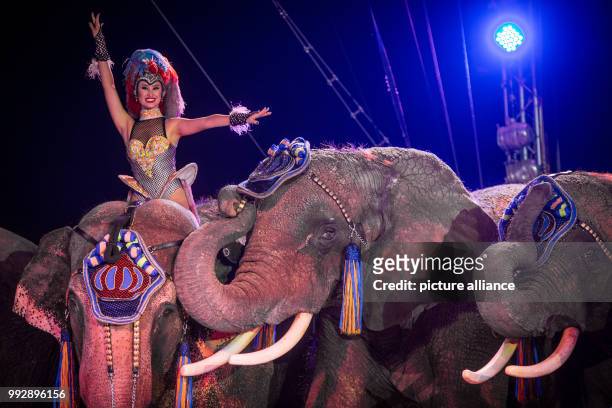 Elephants of the Krone Circus perform their routine at the Cannstatter Wasen festival grounds in Stuttgart, Germany, 26 October 2017. The circus will...
