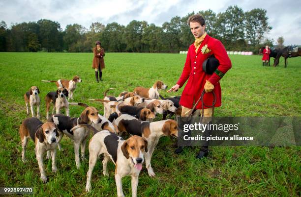 Cosimo von Dungern, leading rider of the track hunt, stands next to foxhound dogs on a meadow in Schneeren, a town district of Neustadt am...