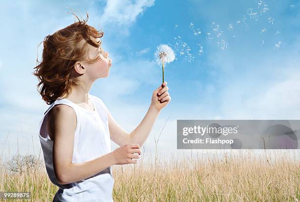 portrait of boy blowing dandelion clock - child dandelion stockfoto's en -beelden