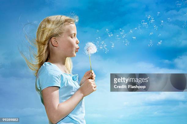 portrait of girl blowing dandelion clock - child dandelion stockfoto's en -beelden