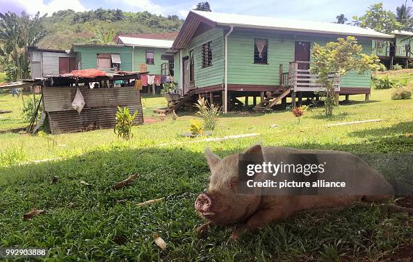 Fiji has to move towns into the country Fiji has to move towns into the country
