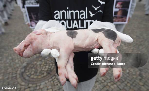 Dpatop - Animal rights activists from the group Animal Equality hold dead animals in their hands during a silent protest in front of the Brandenburg...