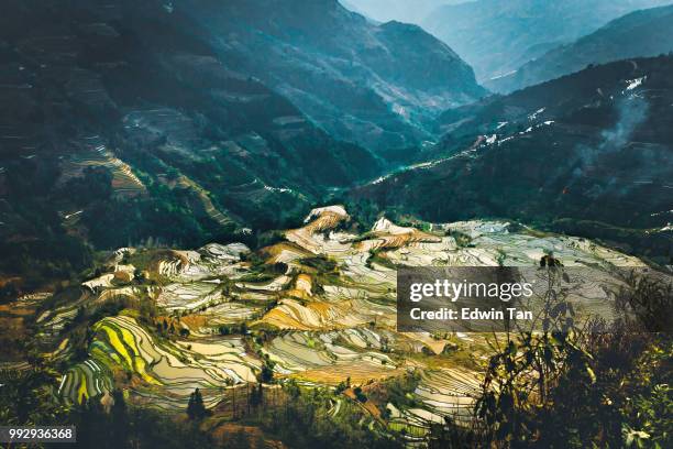 a valley of rice terrace field in yuan-yang , yunnan province china - yuanyang stock pictures, royalty-free photos & images