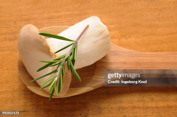 a french horn mushroom (pleurotus eryngii) on a wooden spoon - agaricales stock pictures, royalty-free photos & images