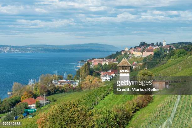 historic rebgut haltnau vineyard on lake constance, with the town of meersburg am bodensee on the right, lake constance, meersburg, baden-wuerttemberg, germany - meersburg stock pictures, royalty-free photos & images