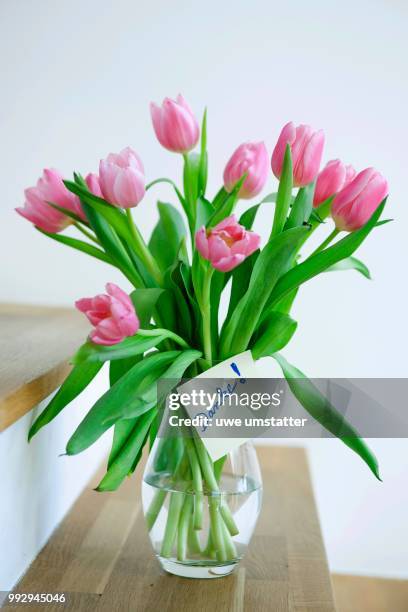 tulips in a vase with the note --danke--, german for --thank you--, mannheim, baden-wuerttemberg, germany - danke bildbanksfoton och bilder