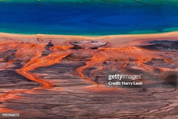 grand prismatic spring, midway geyser basin, yellowstone national park, wyoming, united states - midway geyser basin stock pictures, royalty-free photos & images