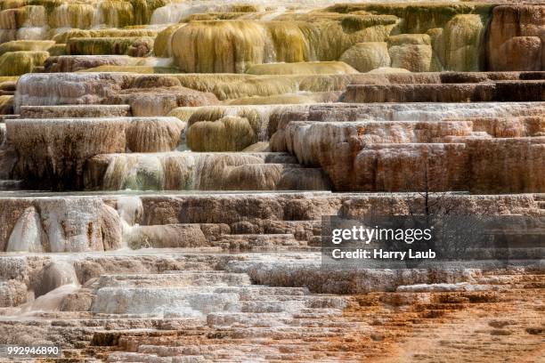 Hot Rocks Terrace Minerva Terrace Photos and Premium High Res Pictures - Getty Images