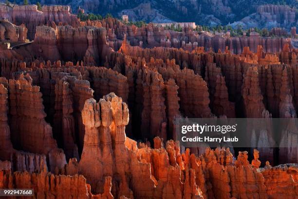 rock formations, hoodoos, bryce canyon national park, utah, united states - rock hoodoo stockfoto's en -beelden