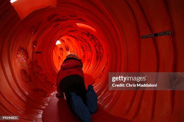 Girl from the Inter-American Development Bank daycare center crawls through a 40 ft. Colon model at the Colossal Colon Tour at Freedom Plaza. The...
