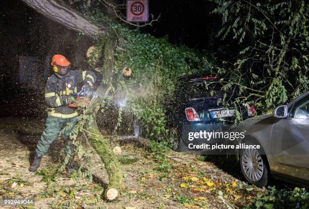 Dpatop - Firefighters remove the debris of a fallen tree in Hamburg, Germany, 29 October 2017. A storm dubbed "Herwart" wreaked havoc over Germany....