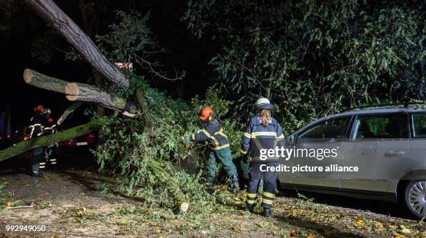 Dpatop - Firefighters remove the debris of a fallen tree in Hamburg, Germany, 29 October 2017. A storm dubbed "Herwart" wreaked havoc over Germany....