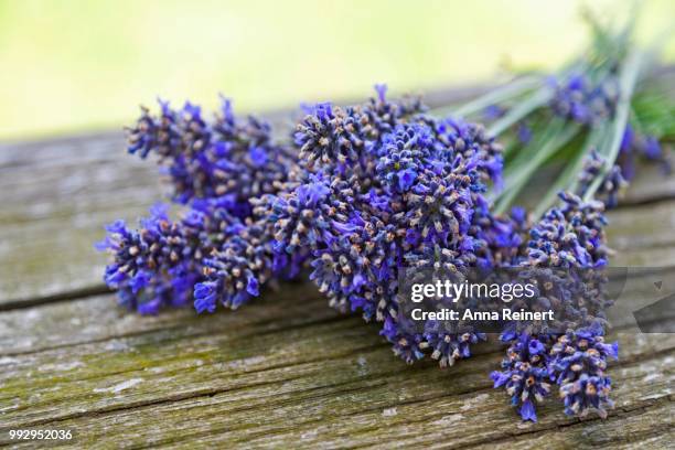 lavender (lavandula angustifolia) on old wooden table - angustifolia bildbanksfoton och bilder