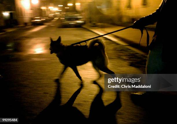 To help combat crime in their Capitol Hill neighborhood, PSA 109, area residents have organized group dog walks at night.