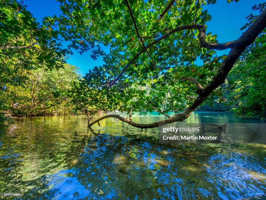Blue Lagoon, Port Antonio, Portland region, Jamaica