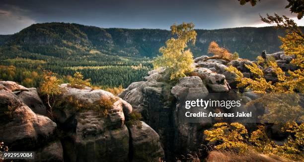 view from kuhstall lookout, elbe sandstone mountains, saxony, germany - kuhstall stock pictures, royalty-free photos & images