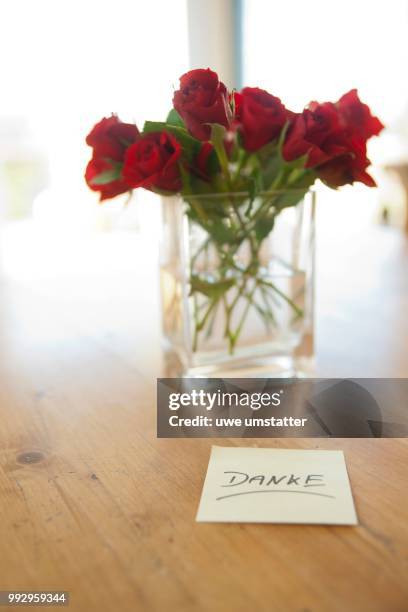 red roses in vase with the note --danke--, german for --thank you--, mannheim, baden-wuerttemberg, germany - danke 個照片及圖片檔