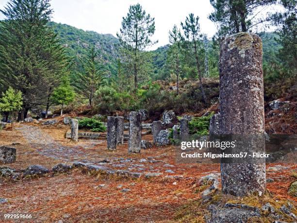 roman miliaries in xures, ourense (galicia, spain) - flickr stockfoto's en -beelden