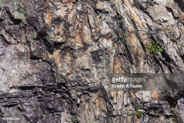 closeup of a sedimentary mountain limestone rocks texture - karst formation stockfoto's en -beelden