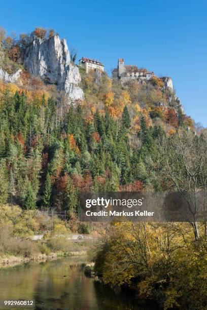 danube river in the autumnal danube valley with burg werenwag castle, hausen im tal, schwaebische alb, baden-wuerttemberg, germany - burg stock pictures, royalty-free photos & images