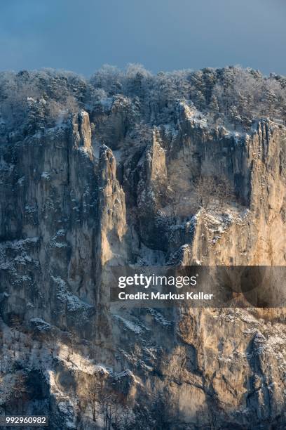 schaufelsen rocks in the upper danube valley in winter, neidingen, donautal, baden-wuerttemberg, germany - donautal stock-fotos und bilder