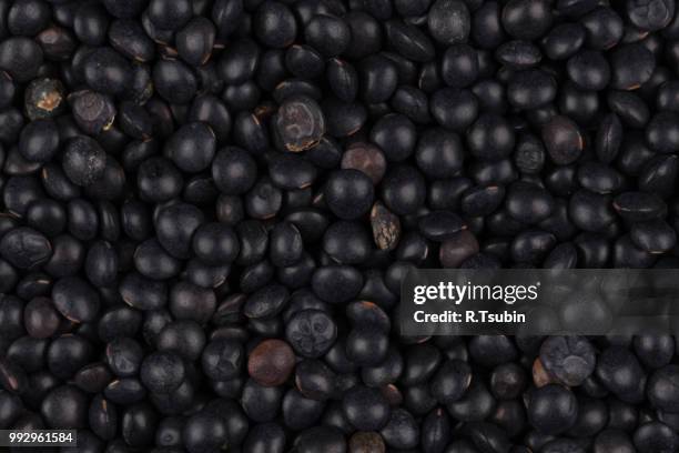 black lentils beans - white whale stock pictures, royalty-free photos & images