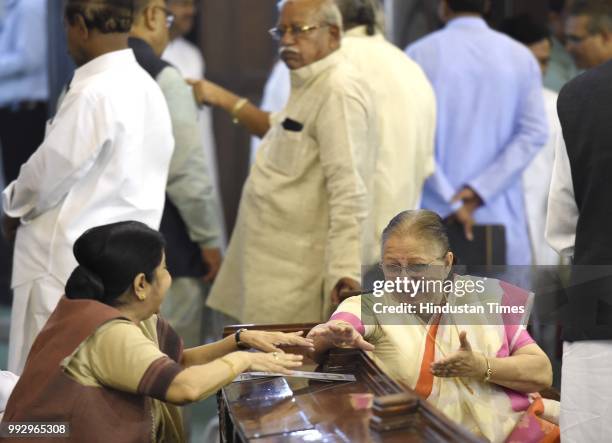 External Affairs Minister Sushma Swaraj talks with Lok Sabha Speaker Sumitra Mahajan before paying floral tribute, to Syama Prasad Mookerjee, on his...