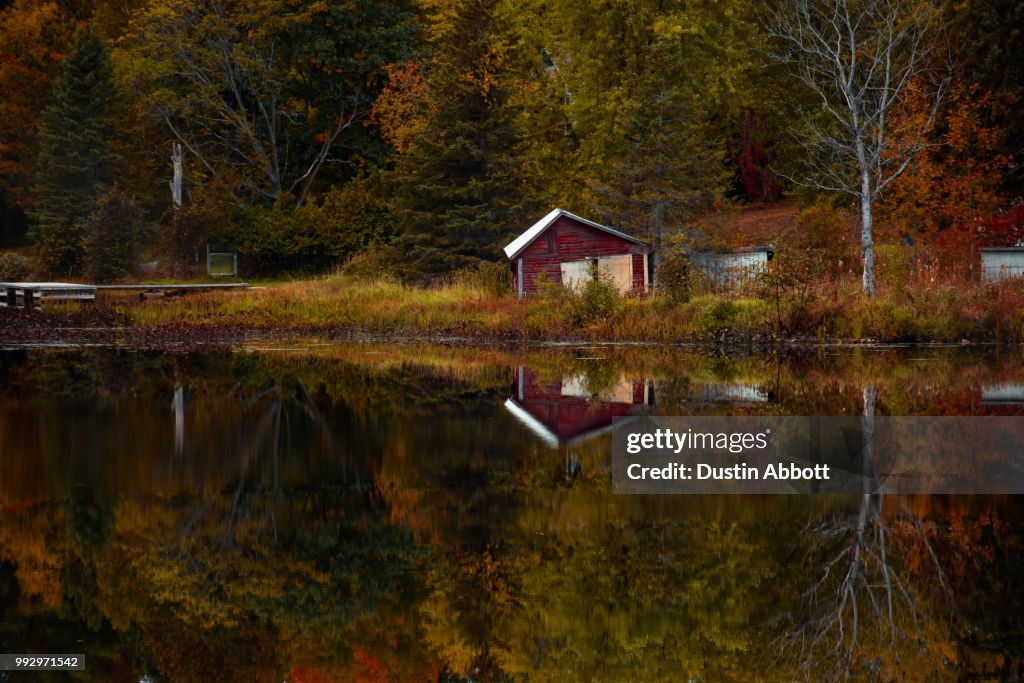 Reflections of Autumn