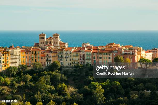 monaco rocher - rocher stock pictures, royalty-free photos & images