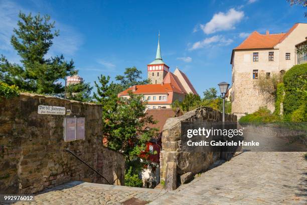 muehltorgasse street at fischerpforte gate with the old water tower and st. michael's church, bautzen, saxony, germany - bautzen stock pictures, royalty-free photos & images