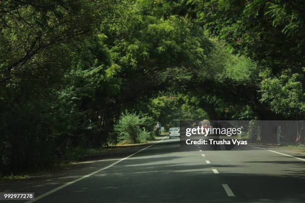 Img4612jpg High-Res Stock Photo