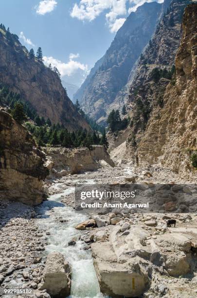 dhauliganga river basking in the himalayan sun. - agarwal stock pictures, royalty-free photos & images