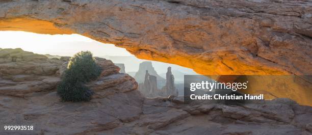 mesa arch at sunrise, island in the sky, canyonlands national park, moab, utah, united states - island in the sky stock pictures, royalty-free photos & images