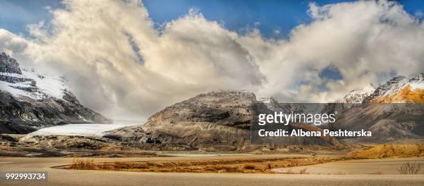 glacier, columbia icefield  parkway - albena bildbanksfoton och bilder