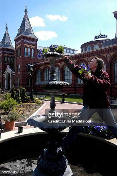 Smithsonian Horticulture Services Division employee Shelly Gaskin plants Pansies on a fountain at the Katherine Dulin Folger Rose garden next to the...