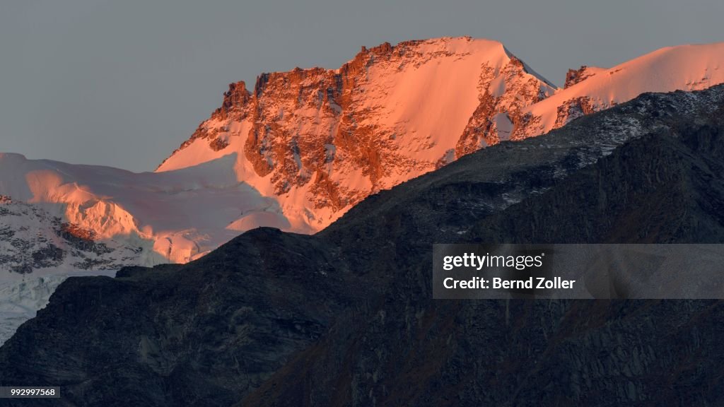 Paradiso group at sunrise, alpenglow, Gran Paradiso National Park, Valle di Cogne, Piedmont, Italy