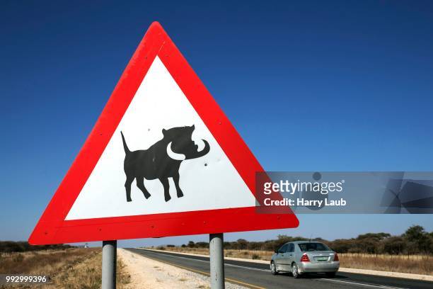 road sign warning of warthogs, road b1 in tsumen, namibia - motif africain stock pictures, royalty-free photos & images