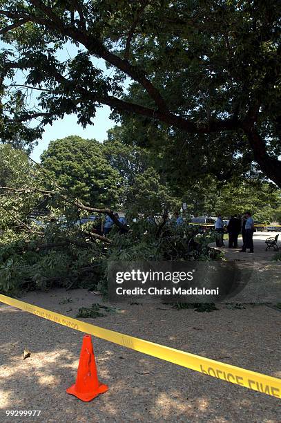 Massive tree branch fell on some unlucky sod next to the Capitol. Talk about timing.