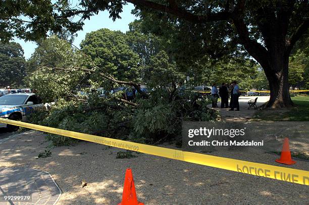 Massive tree branch fell on some unlucky sod next to the Capitol. Talk about timing.