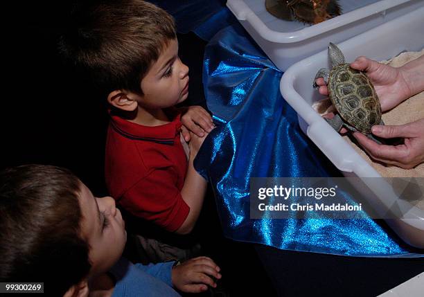 Clarke Paty from Washington, DC, and Owen Schaff from Arlington, Va., look at a Diamondback Terapin at the American Zoo and Aquarium Association...