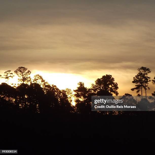 sunset in guarulhos - reis 個照片及圖片檔