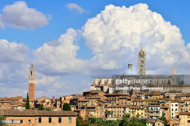 historic centre with the cathedral of siena, cattedrale di santa maria assunta, and the torre del mangia tower, siena, province of siena, tuscany, italy - torre del mangia stock pictures, royalty-free photos & images