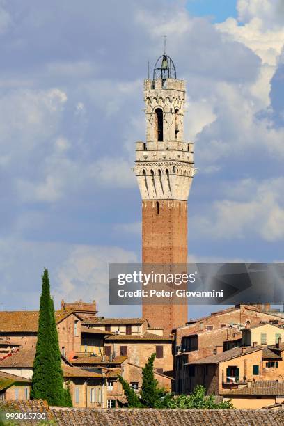 historic centre with the torre del mangia tower, siena, province of siena, tuscany, italy - torre del mangia stock pictures, royalty-free photos & images