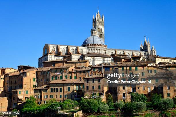 historic centre with the cathedral of siena, cattedrale di santa maria assunta, siena, province of siena, tuscany, italy - siena province - fotografias e filmes do acervo