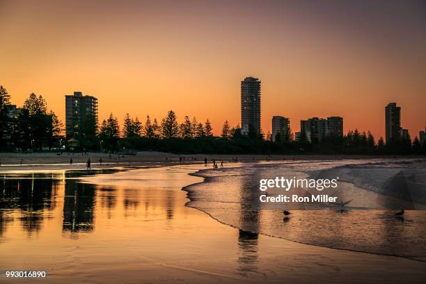 burleigh gold (of ) - burleigh beach stock pictures, royalty-free photos & images