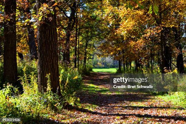 trails end - bret schwalb stock pictures, royalty-free photos & images