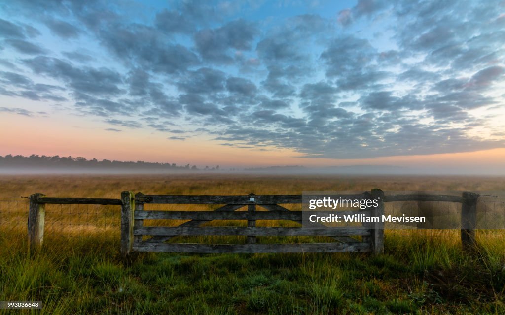 Misty Morning Gate