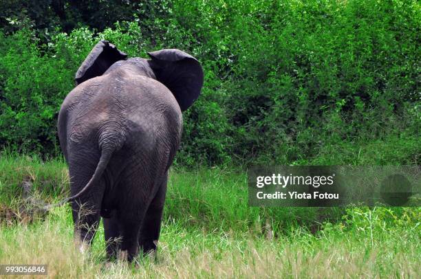 leave me alone... - don't leave me stock pictures, royalty-free photos & images